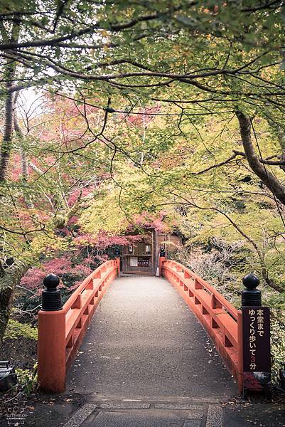 西明寺售票入口前的小橋，經過售票處約3-5分就可抵達西明寺。