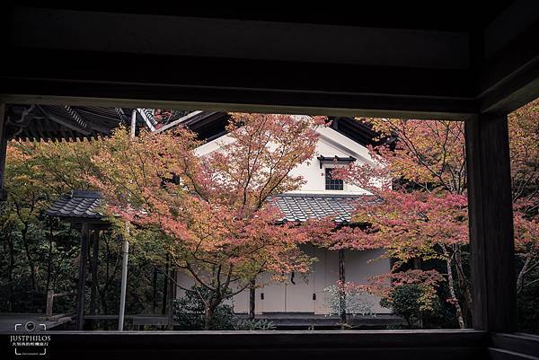 走進西明寺本堂旁的迴廊，透過門廊往外欣賞紅葉有另一種不同的味道。