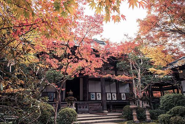 西明寺本堂前的紅葉也吸引攝影者的目光。