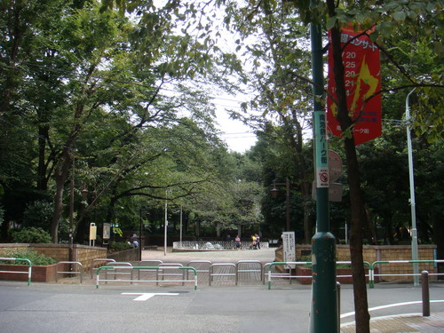 DSC06879_縮小大小.JPG