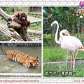 新竹動物園。南寮漁港-漫遊趣請輸入圖片標題