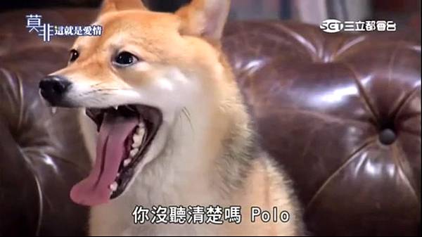 莫非66 莫非66