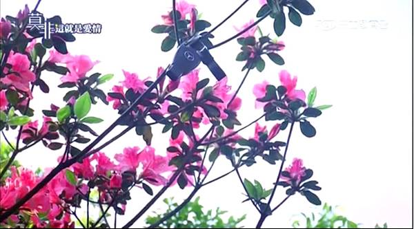 莫非96 莫非96