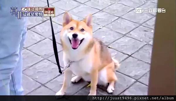 莫非24 莫非24