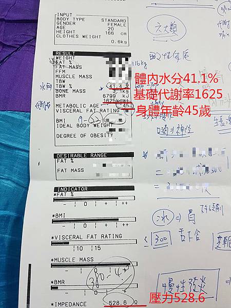29750540_1655233211231238_969257048_n_meitu_1.jpg 試用