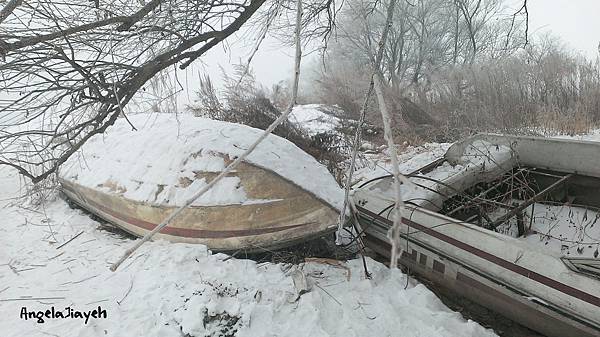 吉林|霧淞島,松花江,冰天雪地的美麗。 59 15.jpg