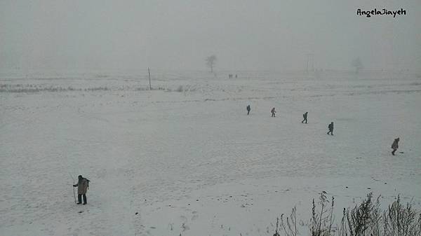 吉林|霧淞島,松花江,冰天雪地的美麗。 64 20.jpg