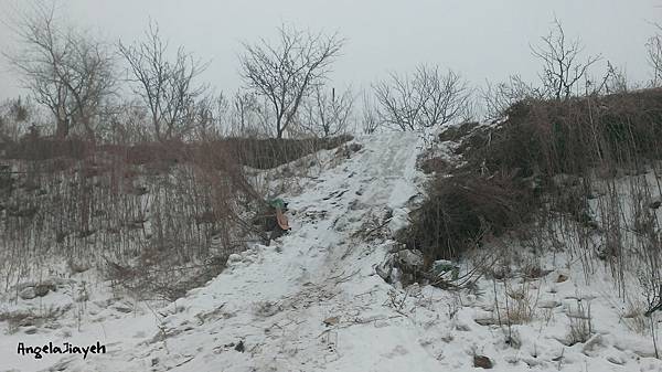 吉林|霧淞島,松花江,冰天雪地的美麗。 65 21.jpg