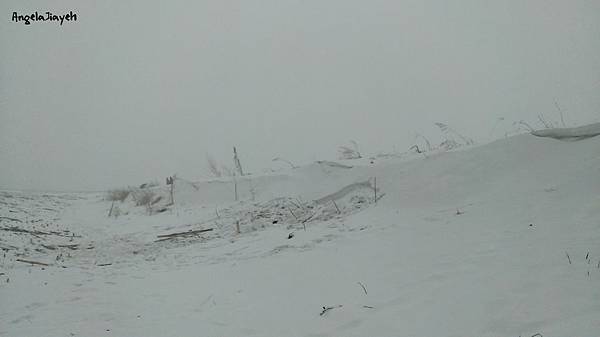 吉林|霧淞島,松花江,冰天雪地的美麗。 69 25.jpg