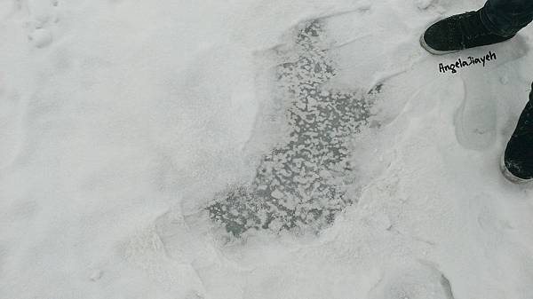 吉林|霧淞島,松花江,冰天雪地的美麗。 67 23.jpg