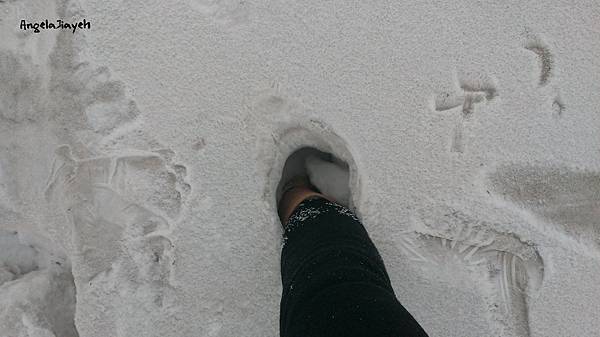 吉林|霧淞島,松花江,冰天雪地的美麗。 71 27.jpg