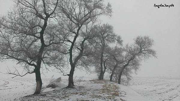 吉林|霧淞島,松花江,冰天雪地的美麗。 72 28.jpg