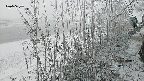 吉林|霧淞島,松花江,冰天雪地的美麗。 79 32.jpg
