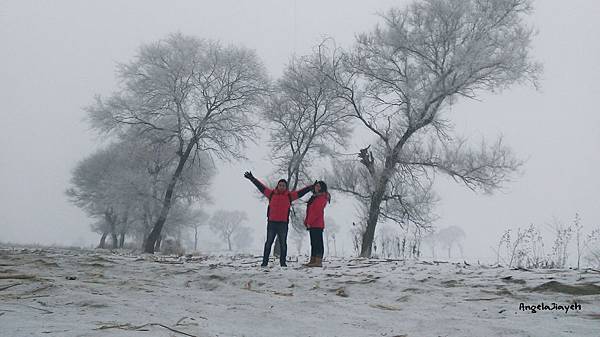 吉林|霧淞島,松花江,冰天雪地的美麗。 78 修圖版拷貝.jpg