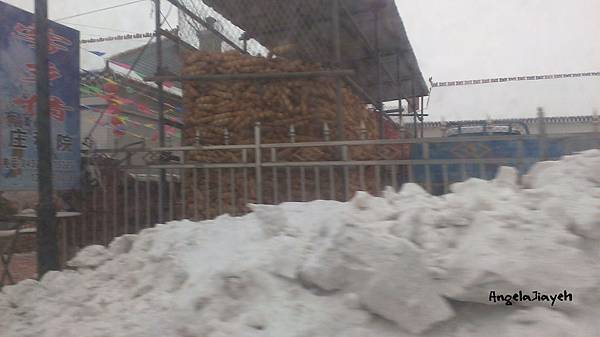 吉林|霧淞島,松花江,冰天雪地的美麗。 84 37.jpg