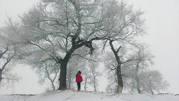 吉林|霧淞島,松花江,冰天雪地的美麗。 45 封面.jpg