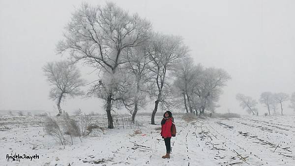 吉林|霧淞島,松花江,冰天雪地的美麗。 86 封面2.jpg