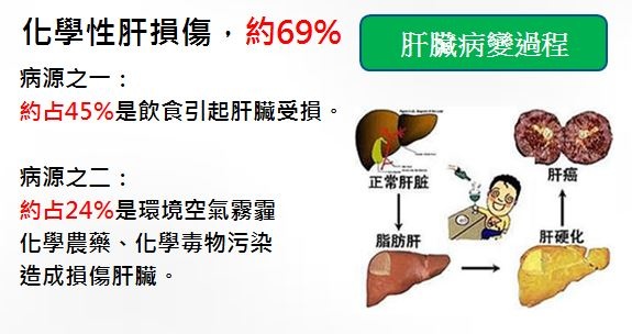 健安丰久仙(椇杞丹參片) 天然解酒藥 預防酒精乾，脂肪肝、肝硬化，最強解酒藥