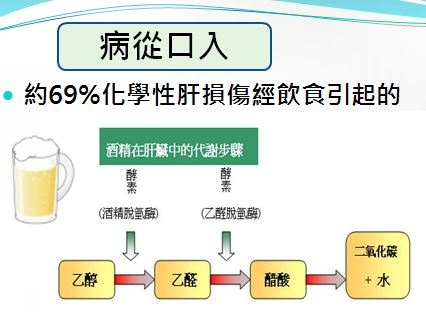 健安丰久仙(椇杞丹參片) 天然解酒藥 預防病從口入造成，酒精乾，脂肪肝、肝硬化，最強解酒藥