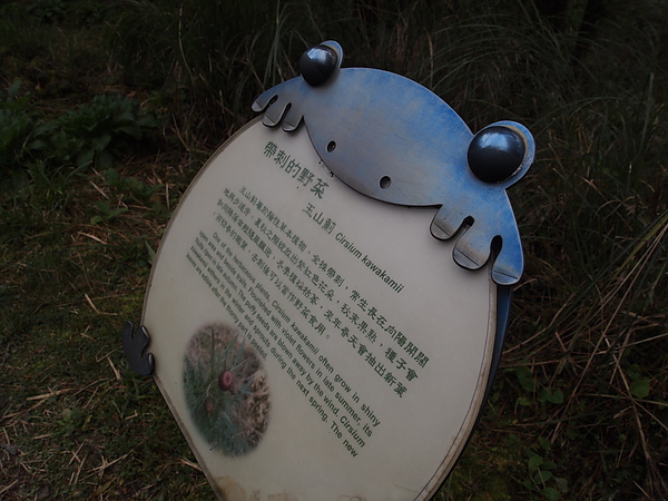 PB283717.JPG
