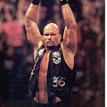 Stone Cold Steve Austin