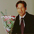 mulder03.png