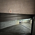 IMG_7751.JPG