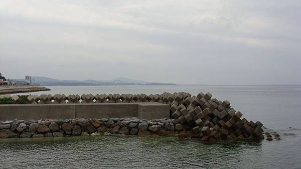 DSC08384.JPG DSC08384.JPG