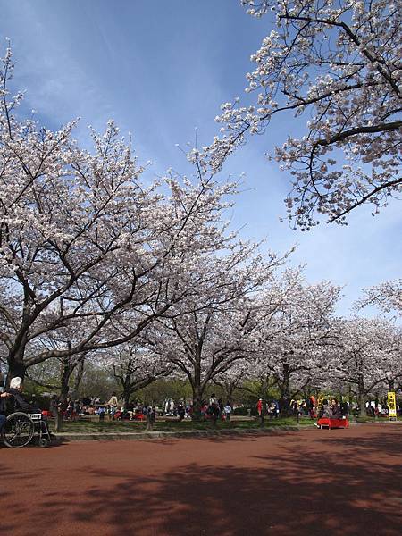 萬博公園