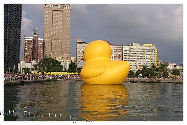 Rubber Duck