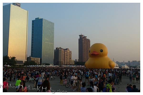 rubber duck