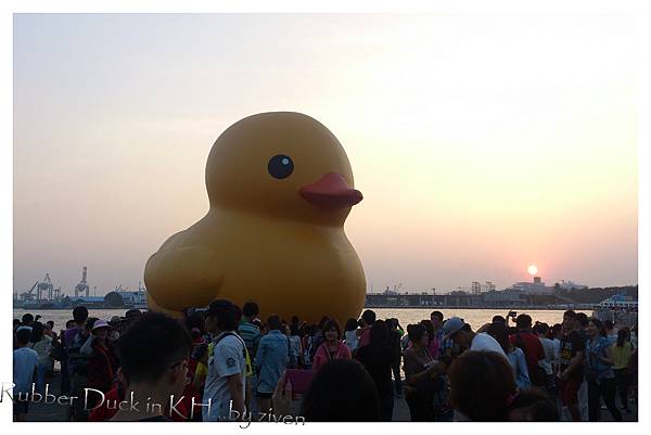 rubber duck