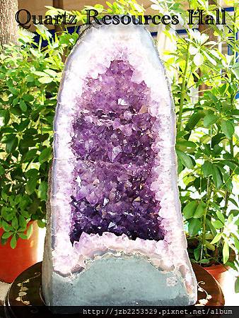 【木型紫水晶洞：鎮宅聚財補氣場的珍貴礦石】