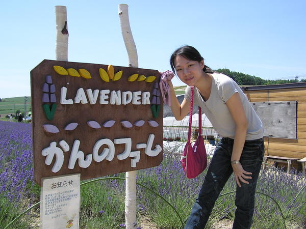 Lavender--"薰衣草"之意