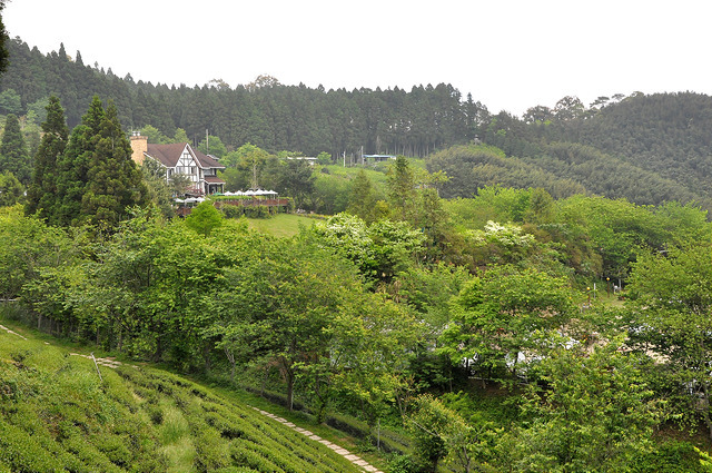 五峰山上人家 (7)