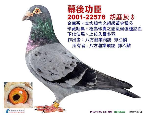 郭乙麟4-2001-22576  胡麻灰公.jpg