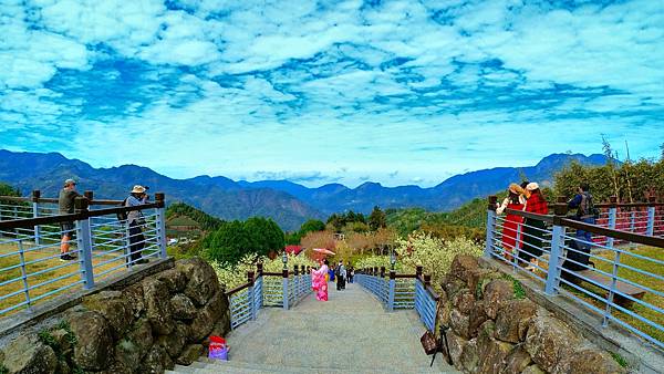 5月30日 (2)_2023-06-01_10-30-17_截图.jpg