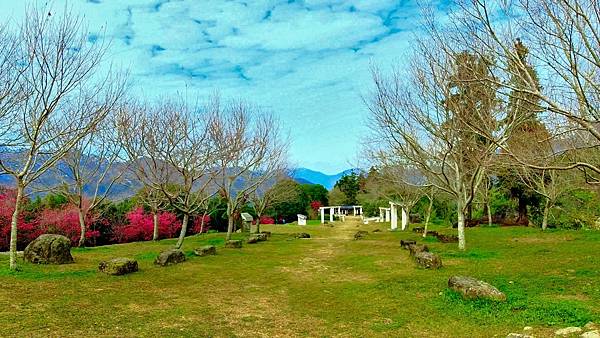 5月30日 (2)_2023-06-01_10-24-10_截图.jpg