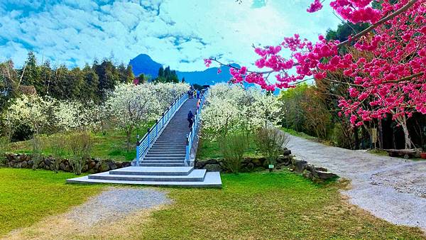 5月30日 (2)(1)_2023-06-01_16-22-01_截图.jpg