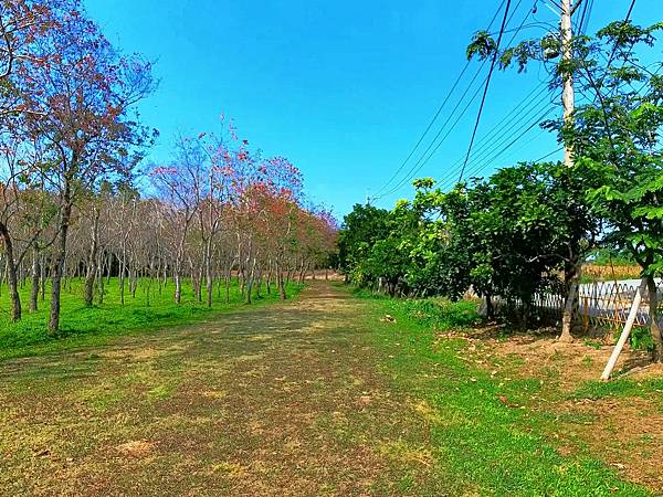 魚寮遺址_2024-02-04_15-32-10_-.jpg 魚寮遺址_2024-02-04_15-32-10_-.jpg