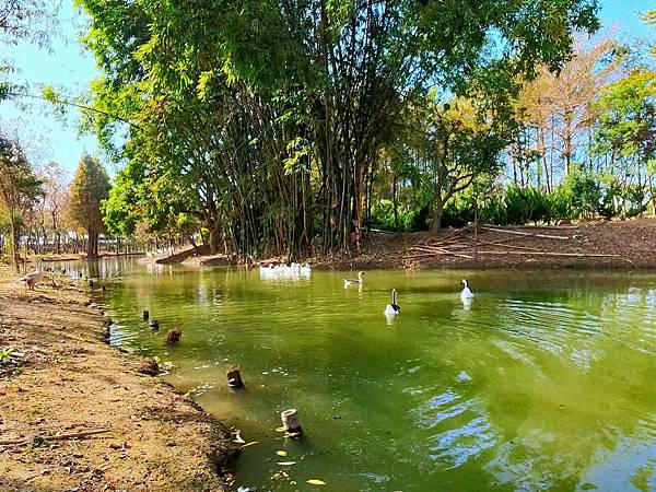 魚寮遺址_2024-02-04_15-34-41_-.jpg 魚寮遺址_2024-02-04_15-34-41_-.jpg