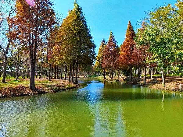 魚寮遺址_2024-02-04_15-36-39_-.jpg 魚寮遺址_2024-02-04_15-36-39_-.jpg