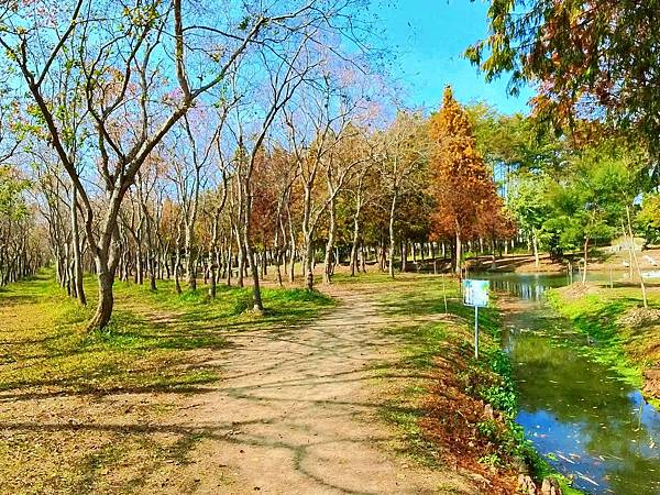 魚寮遺址_2024-02-04_15-37-20_-.jpg 魚寮遺址_2024-02-04_15-37-20_-.jpg