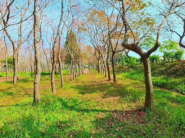 魚寮遺址_2024-02-04_15-46-26_-.jpg 魚寮遺址_2024-02-04_15-46-26_-.jpg