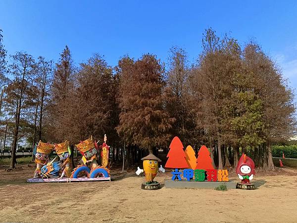 【台南．六甲景點】台南六甲 落羽松森林