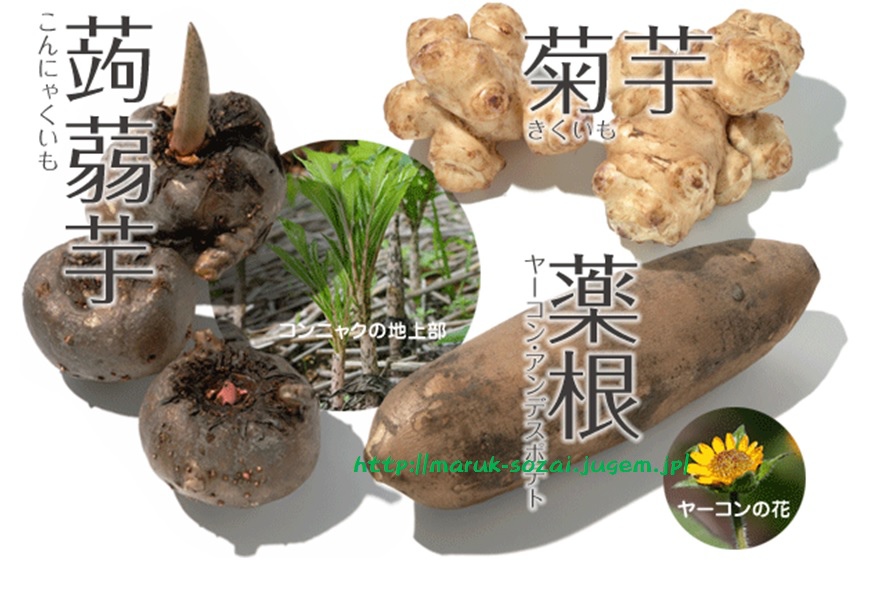 語彙 吃了 蒟篛 就可以秒殺谷歌翻譯 22k的練等筆記 痞客邦