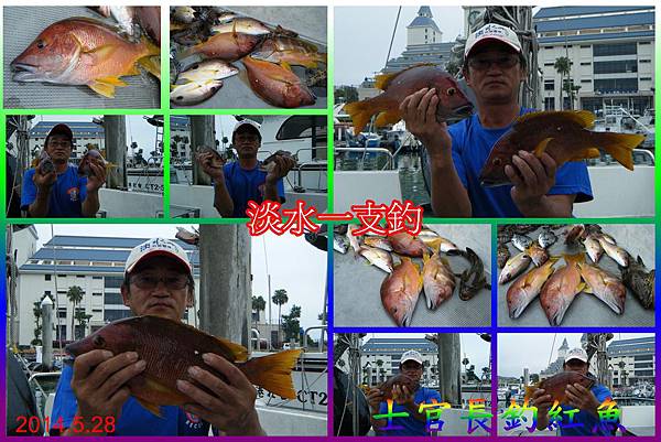 士官長釣紅魚2014.5.28 