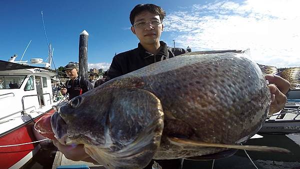 飛狼2019.11.24釣遊1574660185795