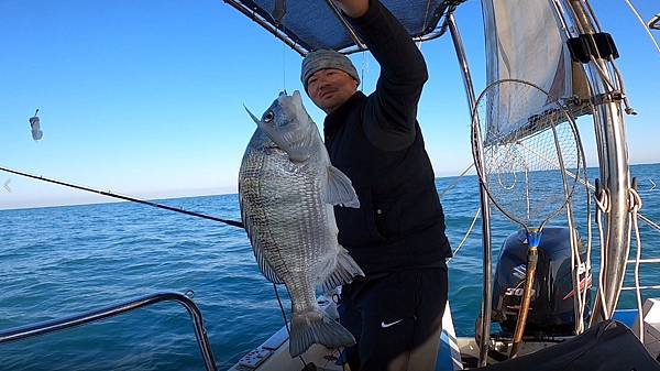 飛狼2021.1.15釣遊~陳師傅釣大黑鯛.jpg