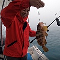 飛狼2021.2.6高董包船~16.jpg